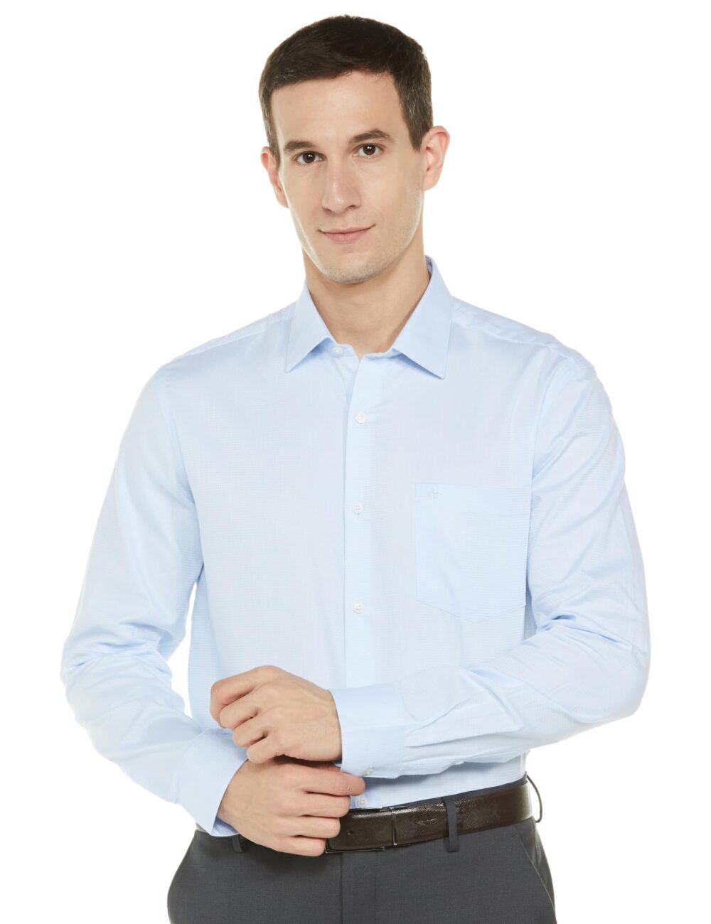 Arrow Men's Slim Fit Shirt (ARAEOSH1511_LT. Blue