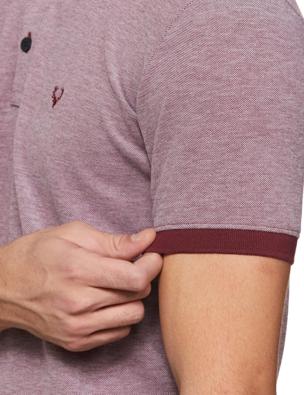 Allen Solly Men's Regular Fit T-Shirt (ALKHARGF266645_Maroon - Image 2