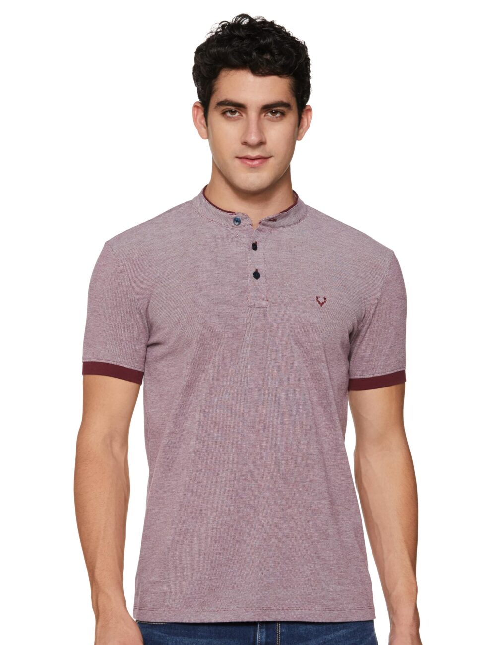 Allen Solly Men's Regular Fit T-Shirt (ALKHARGF266645_Maroon