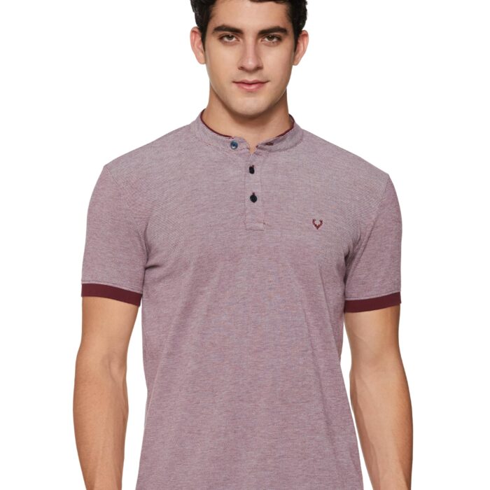 Allen Solly Men's Regular Fit T-Shirt (ALKHARGF266645_Maroon